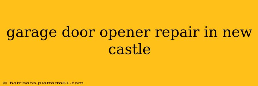 garage door opener repair in new castle