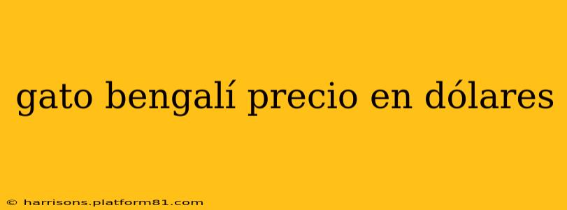gato bengalí precio en dólares