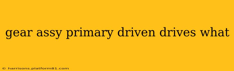 gear assy primary driven drives what