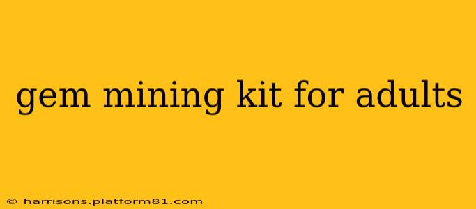 gem mining kit for adults