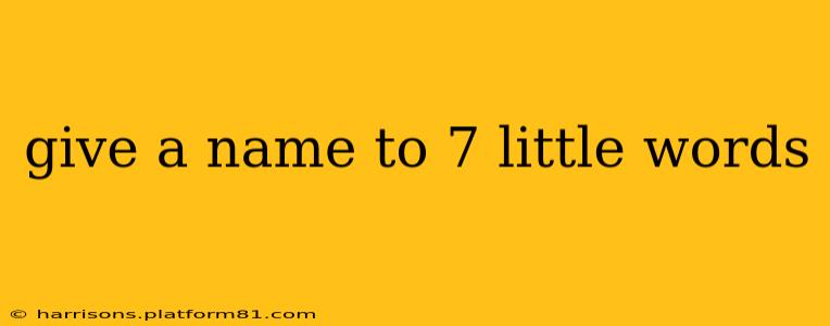 give a name to 7 little words