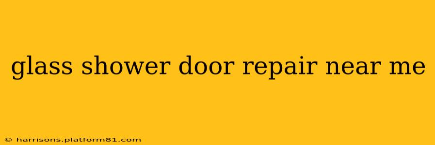 glass shower door repair near me