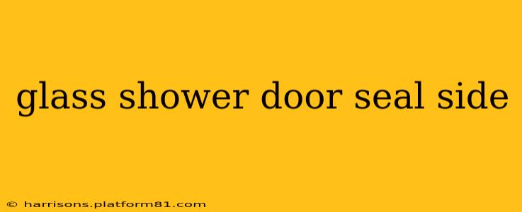 glass shower door seal side