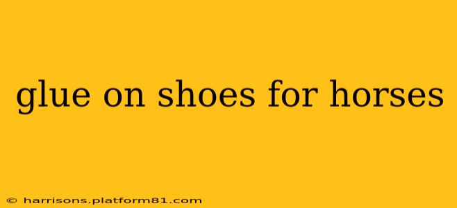 glue on shoes for horses