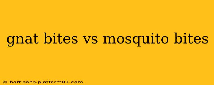 gnat bites vs mosquito bites