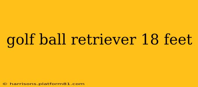 golf ball retriever 18 feet