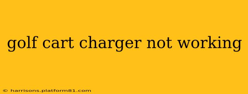 golf cart charger not working