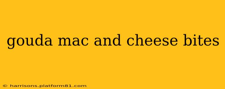 gouda mac and cheese bites