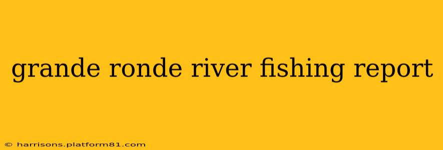 grande ronde river fishing report