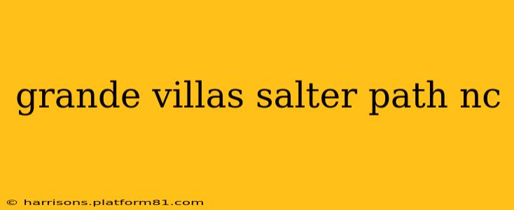 grande villas salter path nc