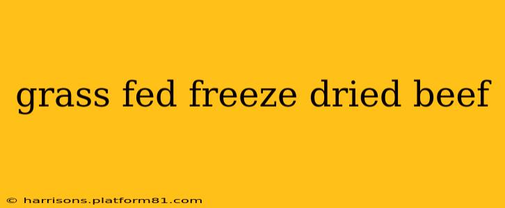 grass fed freeze dried beef