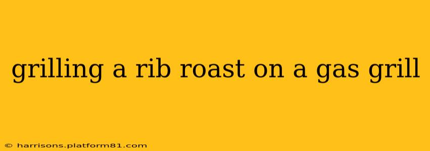 grilling a rib roast on a gas grill
