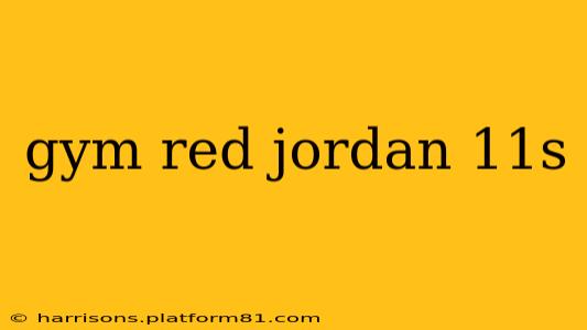 gym red jordan 11s