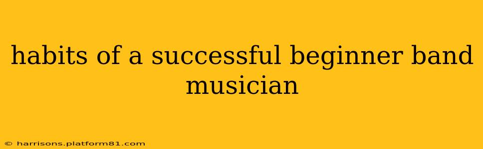habits of a successful beginner band musician