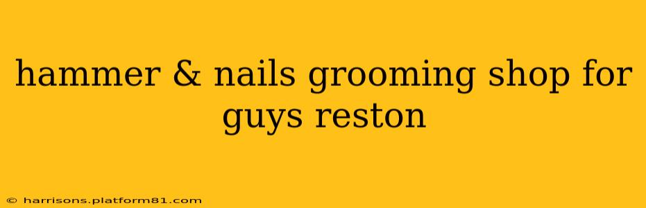 hammer & nails grooming shop for guys reston
