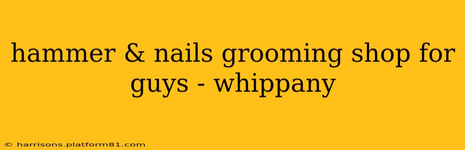 hammer & nails grooming shop for guys - whippany