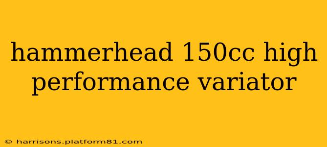 hammerhead 150cc high performance variator