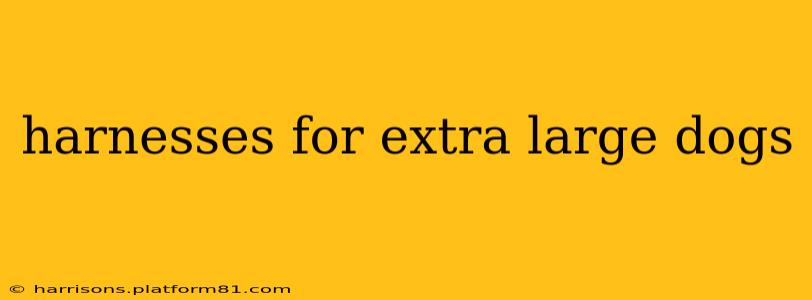 harnesses for extra large dogs