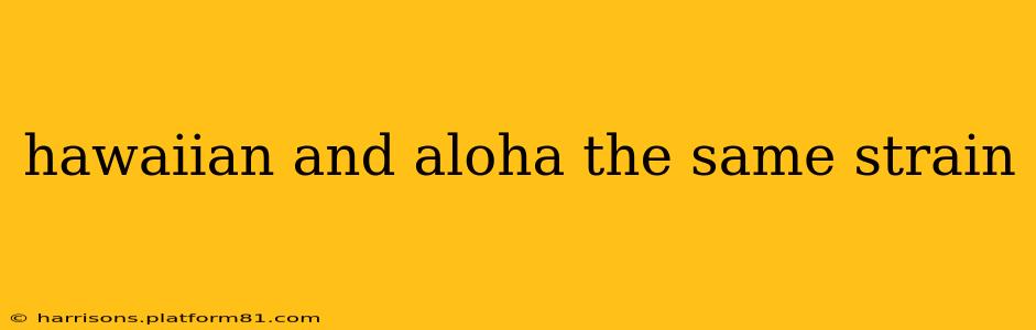 hawaiian and aloha the same strain