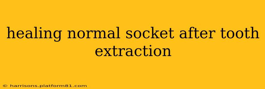 healing normal socket after tooth extraction