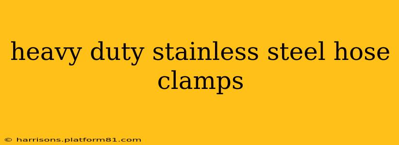 heavy duty stainless steel hose clamps