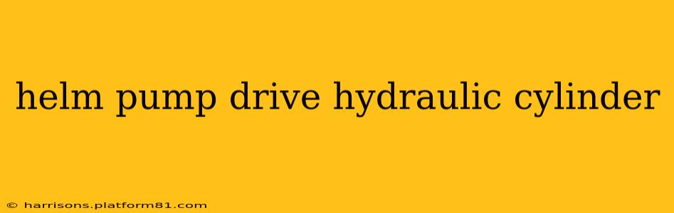 helm pump drive hydraulic cylinder
