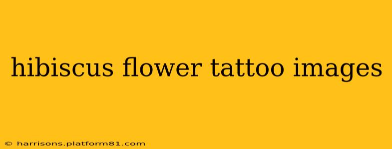 hibiscus flower tattoo images