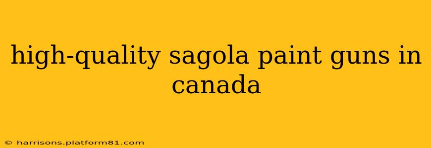 high-quality sagola paint guns in canada