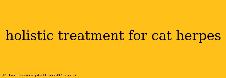 holistic treatment for cat herpes