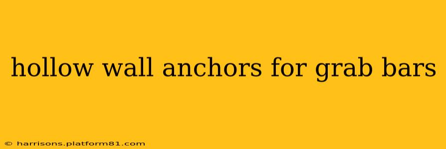 hollow wall anchors for grab bars