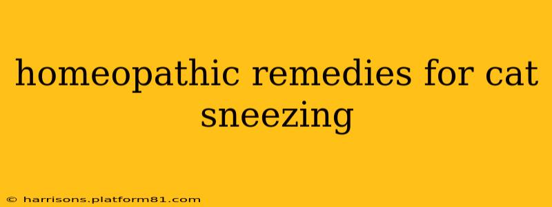 homeopathic remedies for cat sneezing