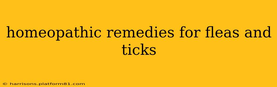 homeopathic remedies for fleas and ticks