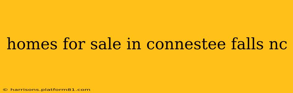 homes for sale in connestee falls nc
