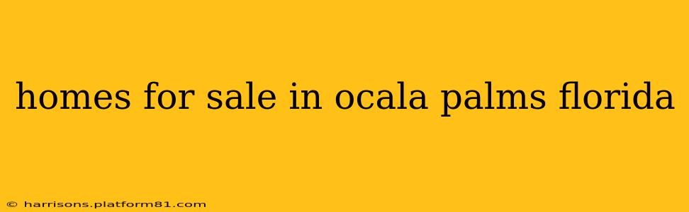 homes for sale in ocala palms florida
