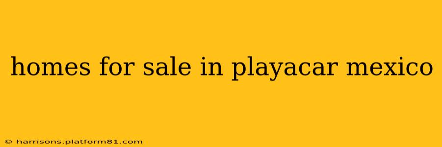 homes for sale in playacar mexico