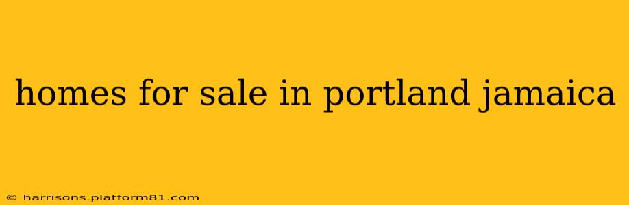 homes for sale in portland jamaica
