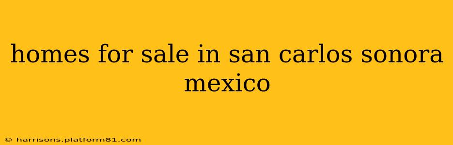 homes for sale in san carlos sonora mexico