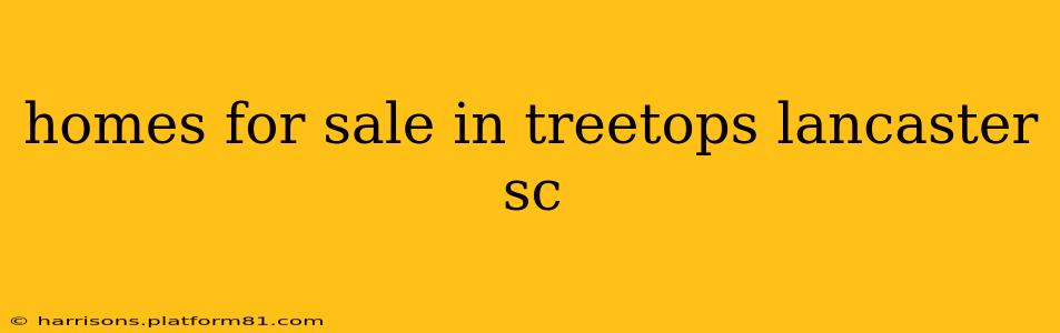 homes for sale in treetops lancaster sc