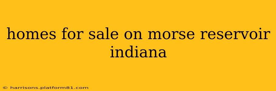 homes for sale on morse reservoir indiana