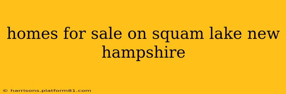 homes for sale on squam lake new hampshire