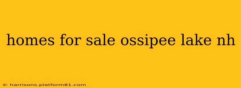 homes for sale ossipee lake nh