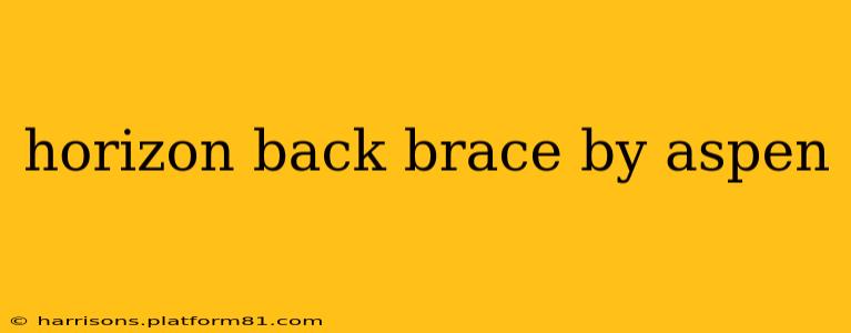 horizon back brace by aspen