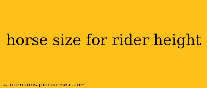 horse size for rider height