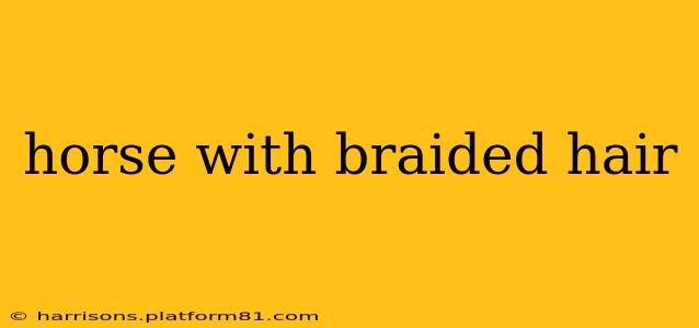 horse with braided hair