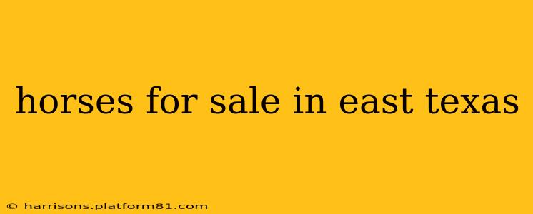 horses for sale in east texas
