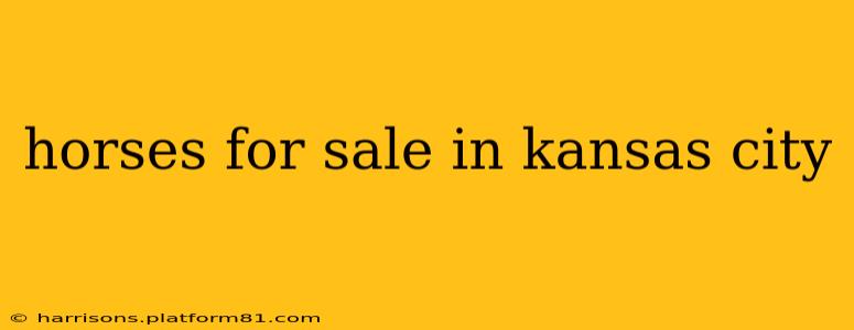 horses for sale in kansas city