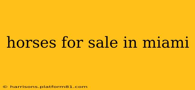 horses for sale in miami