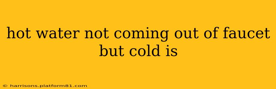 hot water not coming out of faucet but cold is