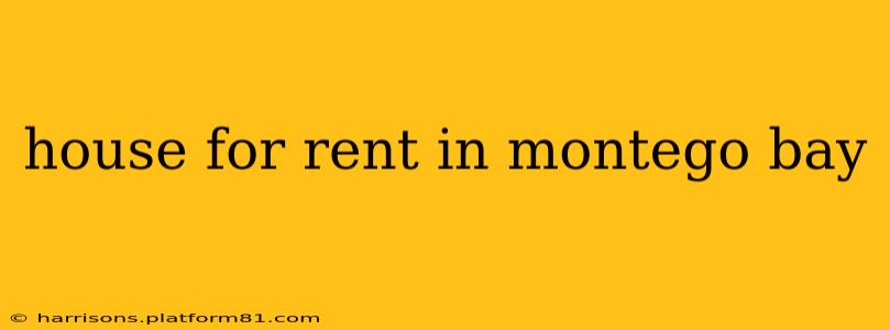 house for rent in montego bay