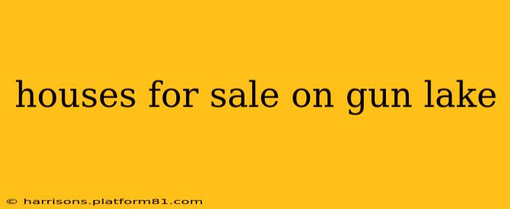 houses for sale on gun lake